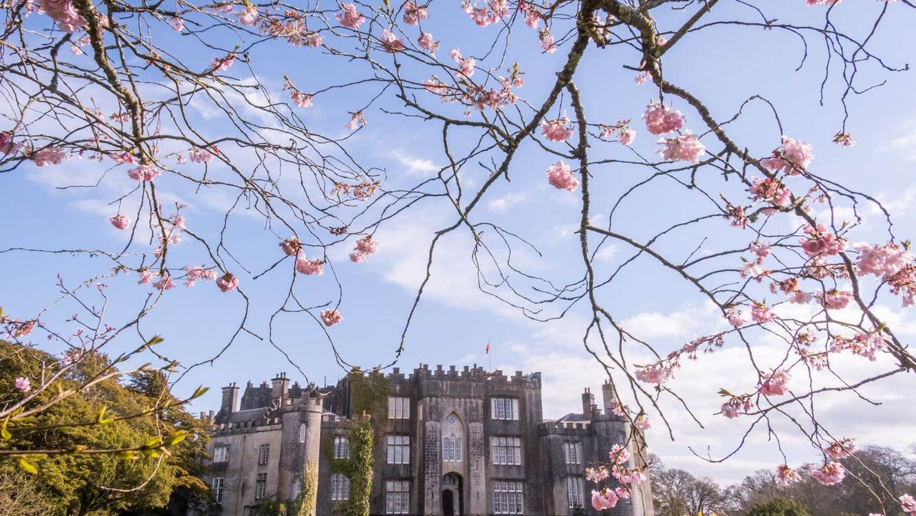 A castle with lots of windows under a pale blue sky
