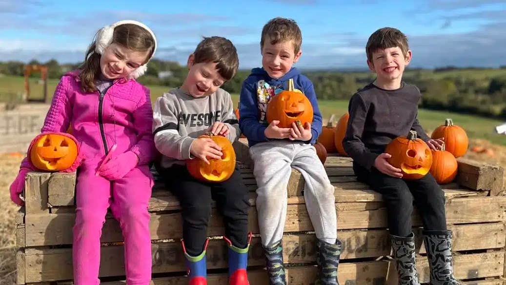 Outdoors on a sunny day, 4 children are seated on a large wooden crate holding carved pumpkins.