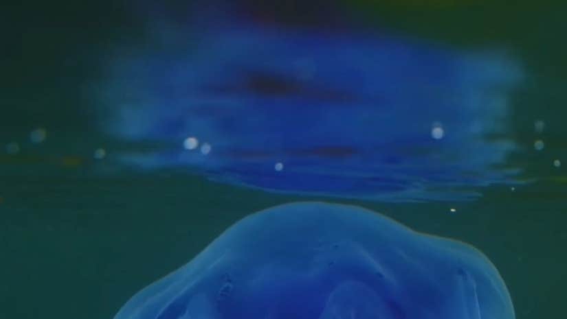 Still from Bettina Seitz's Monk by Fionn Rogers