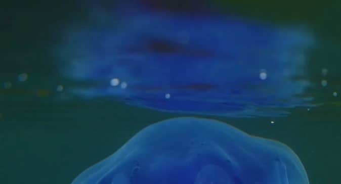 Still from Bettina Seitz's Monk by Fionn Rogers