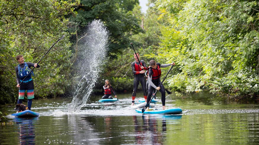 Four people paddle-boarding in Killaloe, County Clare