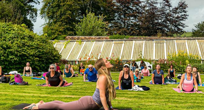 People spread out across a lawn on yoga mats in a yoga pose with long green house in the background.