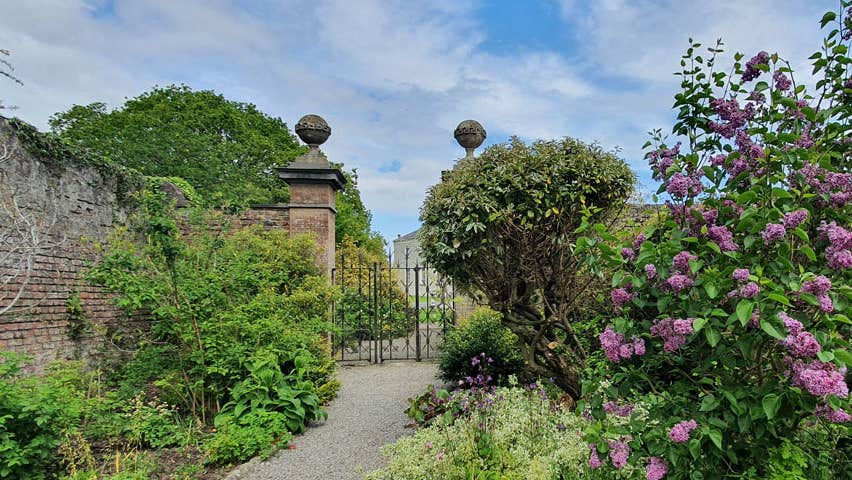 Gate entrance in to Lodge Park Walled Garden