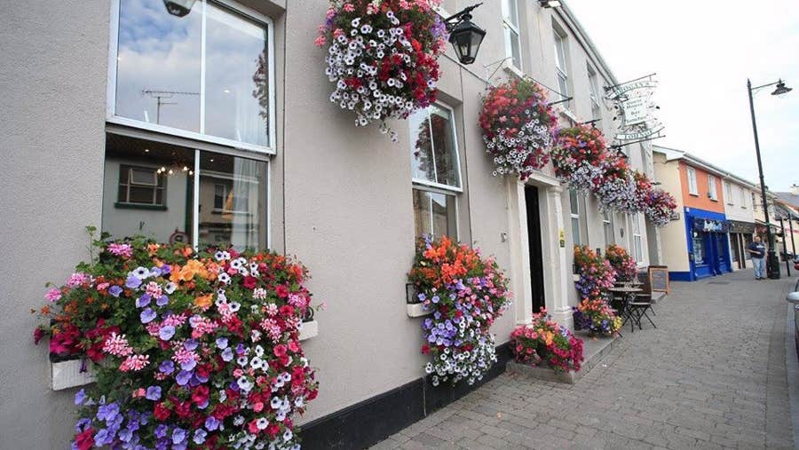 Front view of guesthouse with flowers