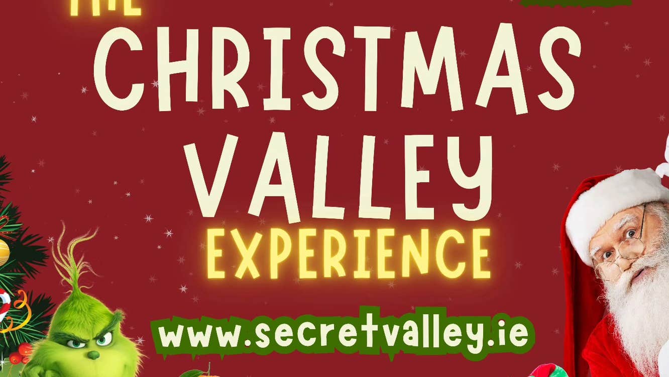 Christmas, Wexford, Ireland Christmas, Animals, Things to do wexford, Christmas time, Santa, Grinch, Elves, Lemur, Capybara, Christmas in Ireland, unique christmas, letter form santa