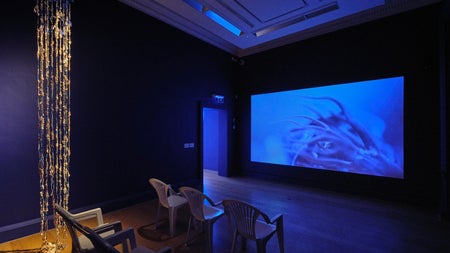 Fisherwoman, Fisherwoman, IMMA, Photo Ros Kavanagh