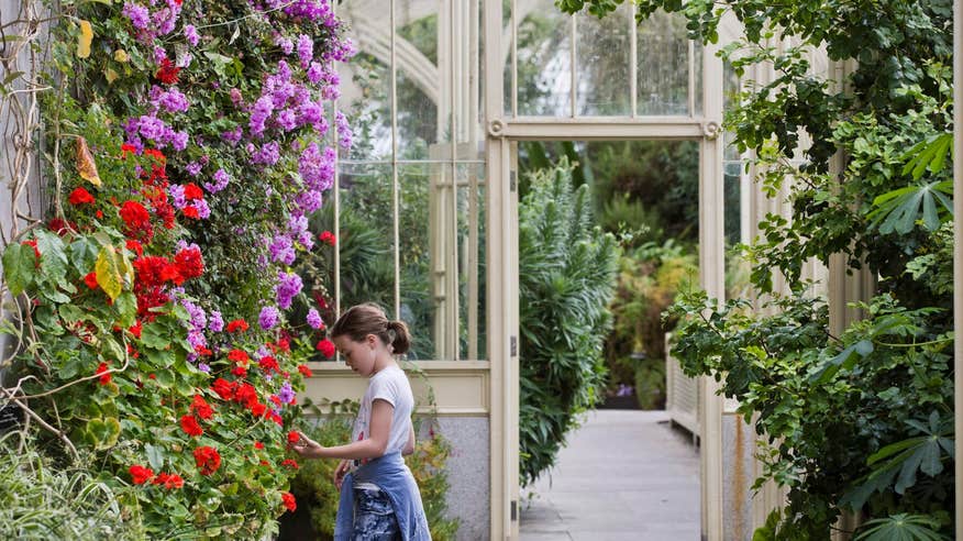 National Botanic Gardens, Dublin