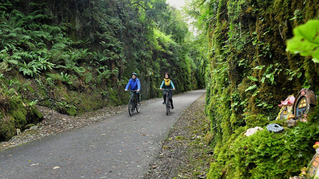 Two people cycling through tree-lined country roads as they enjoy a tour with The Greenway Man - Bike Hire in County Waterford.