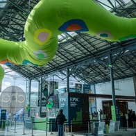 Giant green inflatable snake hanging from the ceiling of the CHQ building, ready for St Patrick's weekend activity