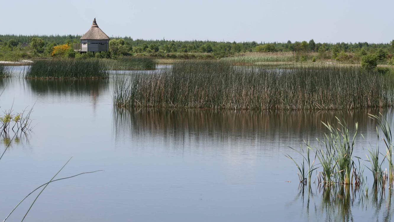 View of the lake.