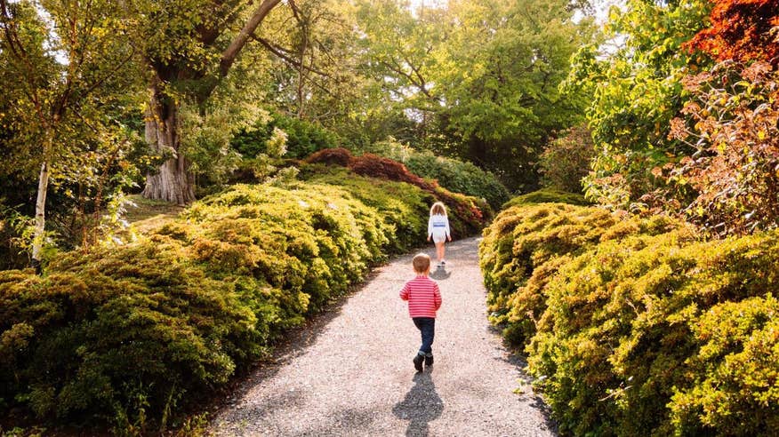 Kids walking on a garden path.