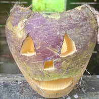 Traditional Halloween carved turnips rather than pumpkins