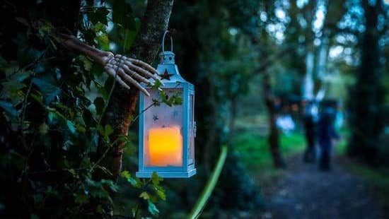 Halloween Scavenger Hunt at Lough Gur