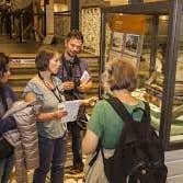 Tour at the National Museum of Ireland, Kildare Street