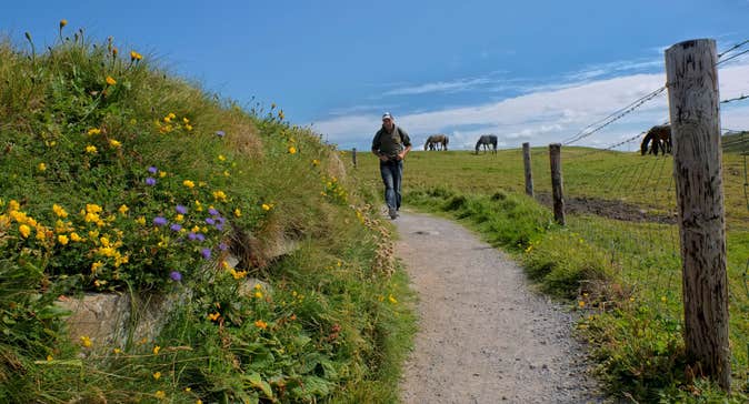 Doolin Cliff Walk Guided Tour