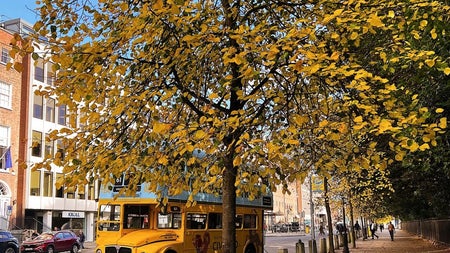 Vintage Tea Trips x Glasnevin Cemetery Halloween Tour