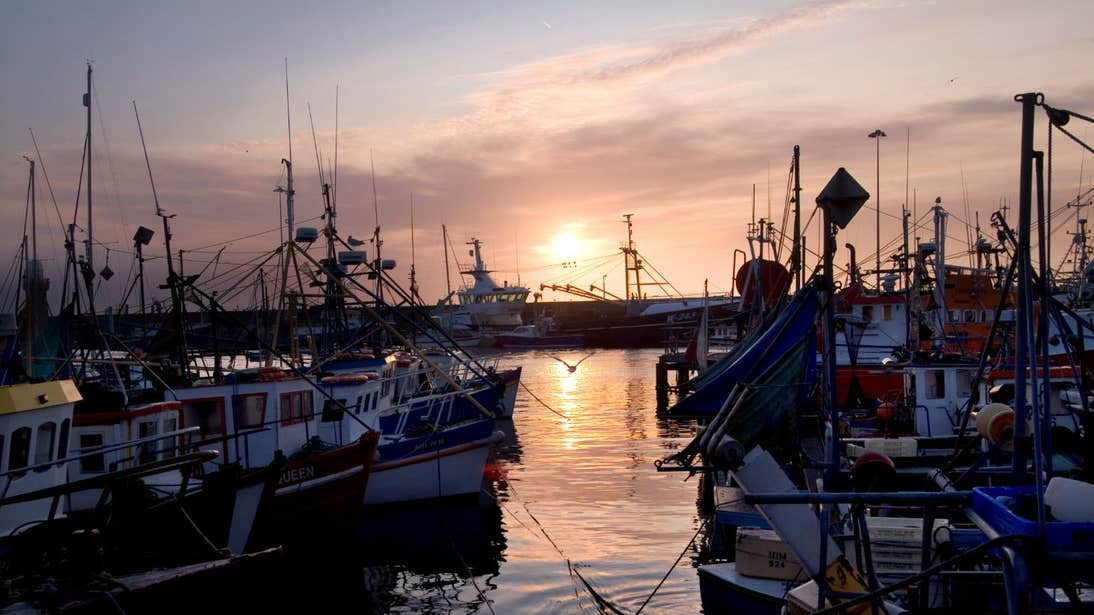 Boats in a harbour at sunset in Dunmore East, Waterford