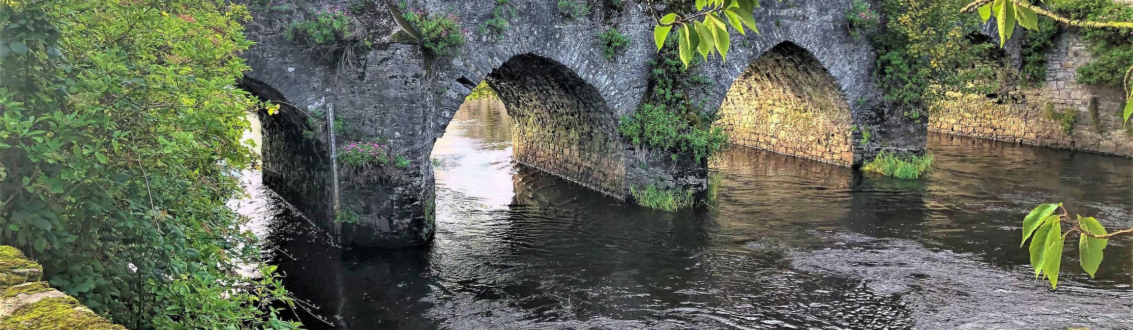 Bridge in Trim, County Meath