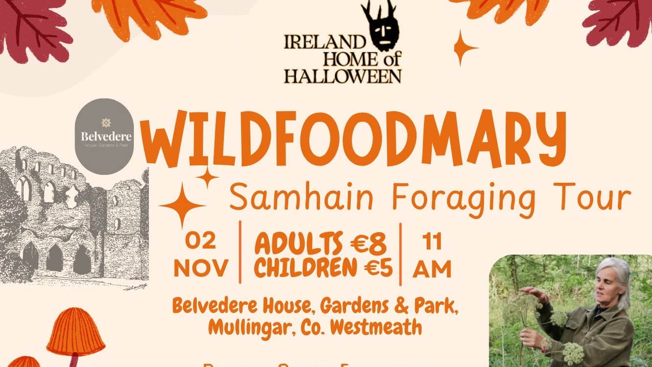 Samhain Foraging Tour with Wildfoodmary