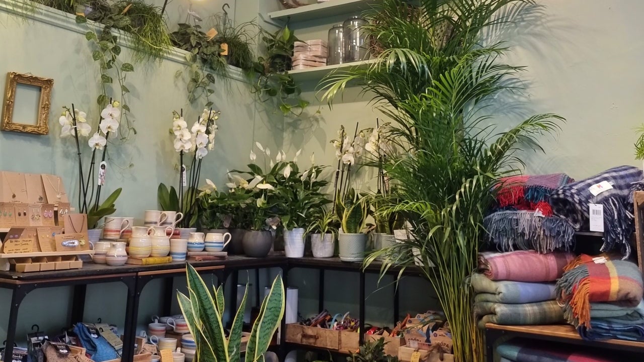 The shop display inside Adonis Flower Designers with a selection of plants, handmade throws, scarves and gifts