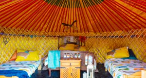 Willowbrook Glamping and Hideaways