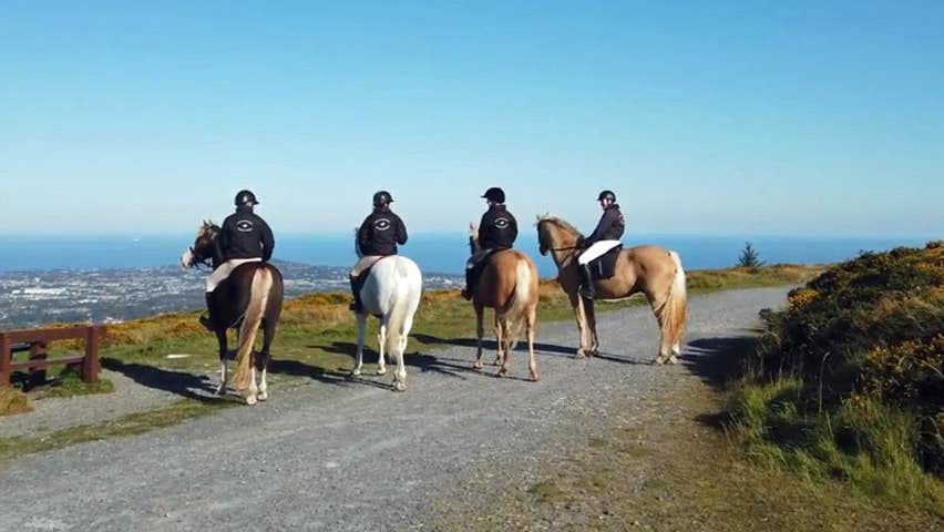 Four riders and their horses looking out over a vantage point on a trek