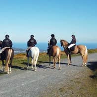 Four riders and their horses looking out over a vantage point on a trek