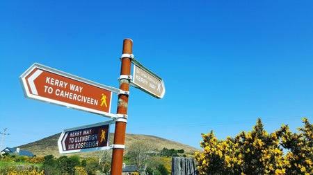 Signpost pointing towards different walking trails