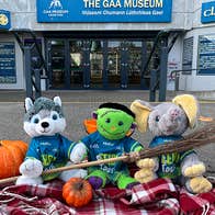 Spooky teidís at the GAA Museum entrance