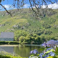 Gougane Barra across a lake with trees and purple flowering plant in foreground