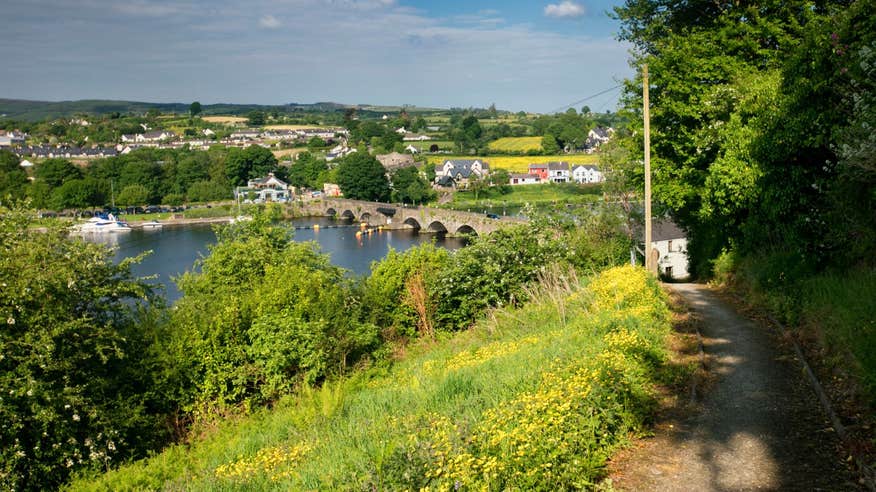 A panoramic view of the arched bridge and buildings in Killaloe