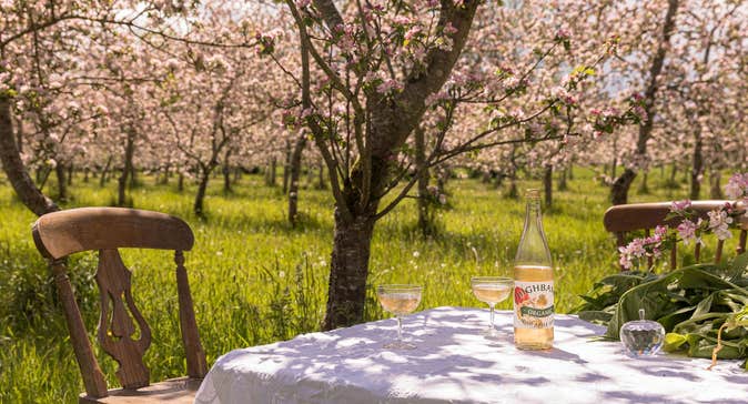 Highbank Organic Orchards