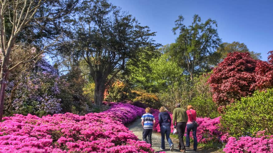 People walking through Mount Congreve Gardens in County Waterford