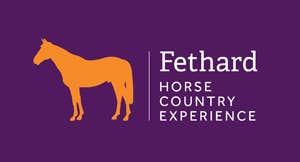 Fethard Horse Country Experience