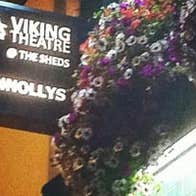 Viking Theatre