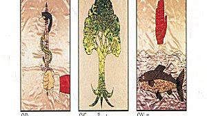 South Tipperary Genealogy Centre