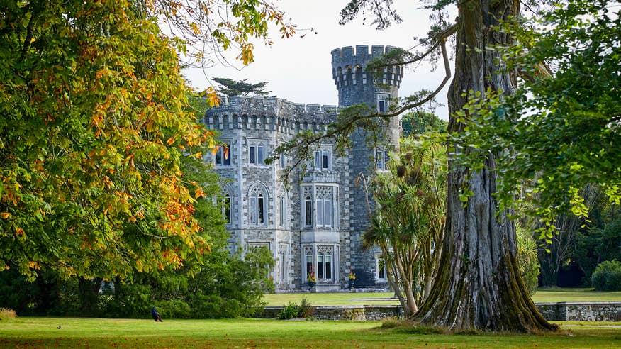 Johnstown Castle Estate through the trees.