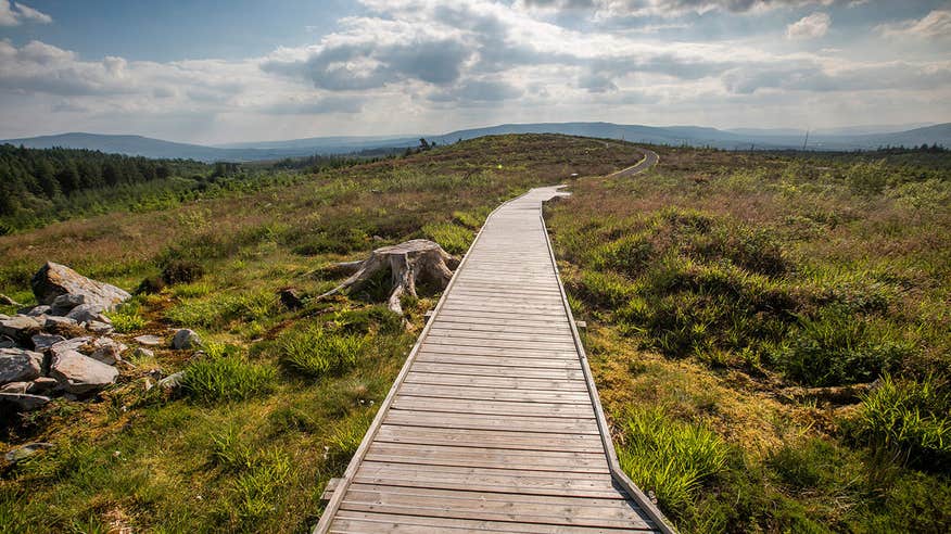 A boardwalk across the Beara Briefne Way