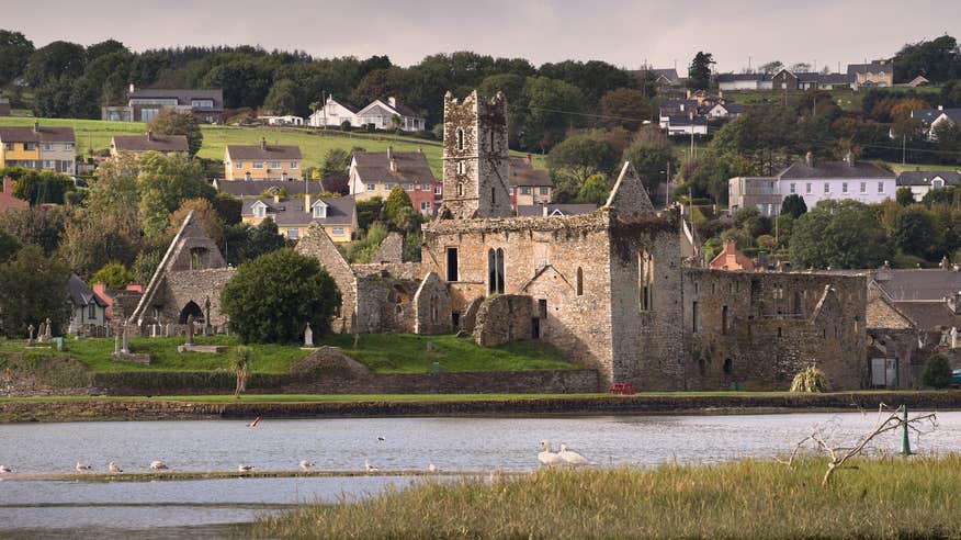 Timoleague Abbey in Co Cork