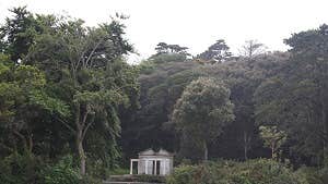 St Anne's Park