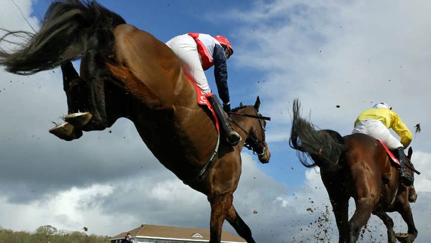 A view from the ground up at horses running in a race at Cork Racecourse Mallow