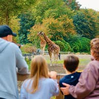 Two adults and two children leaning on a wooden fence looking at giraffes in a field