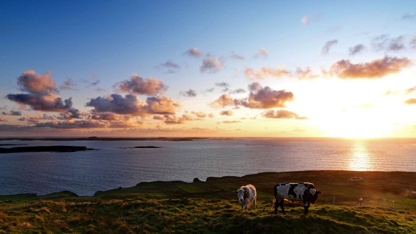 Image of Sky Road in Clifden in County Galway
