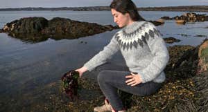 A person foraging for seaweed in the sea.