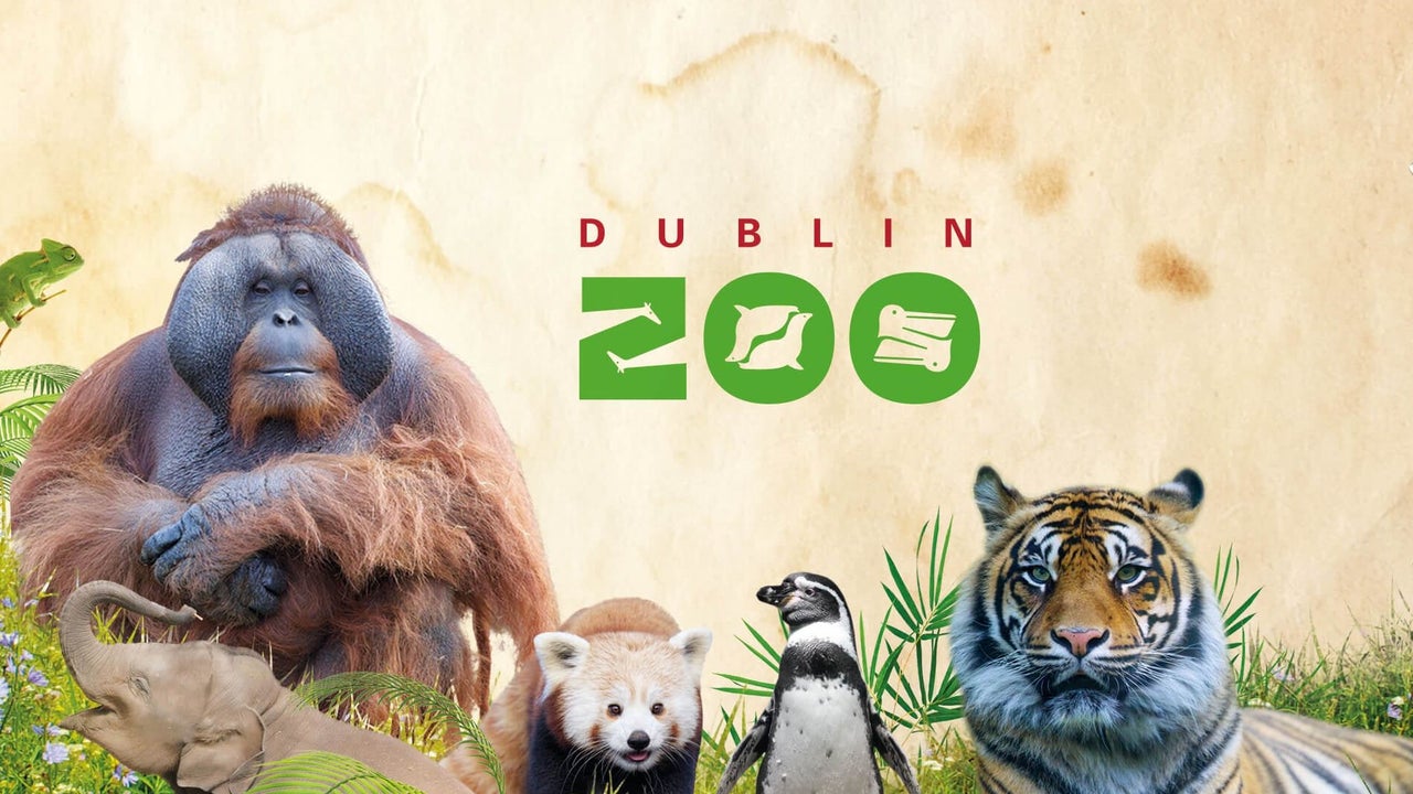Image of animals that are in Dublin Zoo in County Dublin