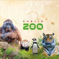 Image of animals that are in Dublin Zoo in County Dublin