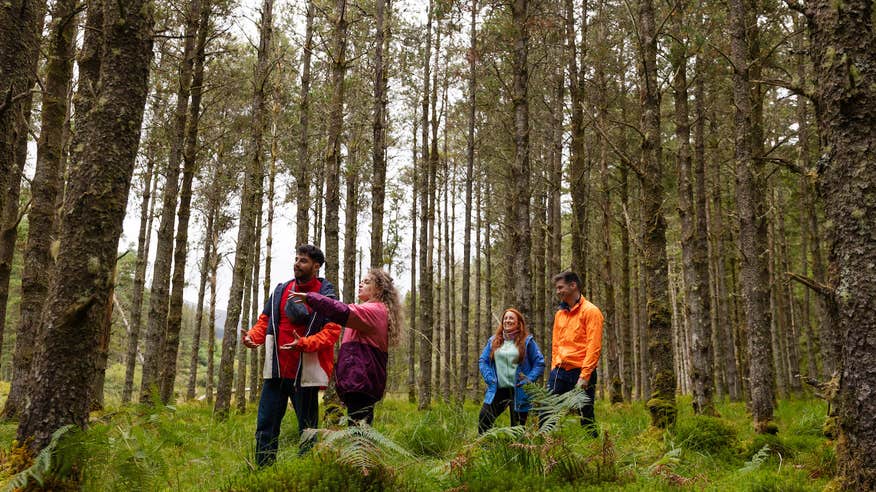 Four people in Wild Nephin National Park in County Mayo