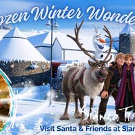 A Frozen Winter Wonderland