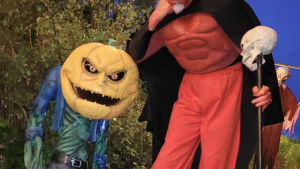 Celebrate Halloween with a fun - filled family visit to Andean Alpacas in the heart of County Westmeath.