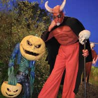 Celebrate Halloween with a fun - filled family visit to Andean Alpacas in the heart of County Westmeath.